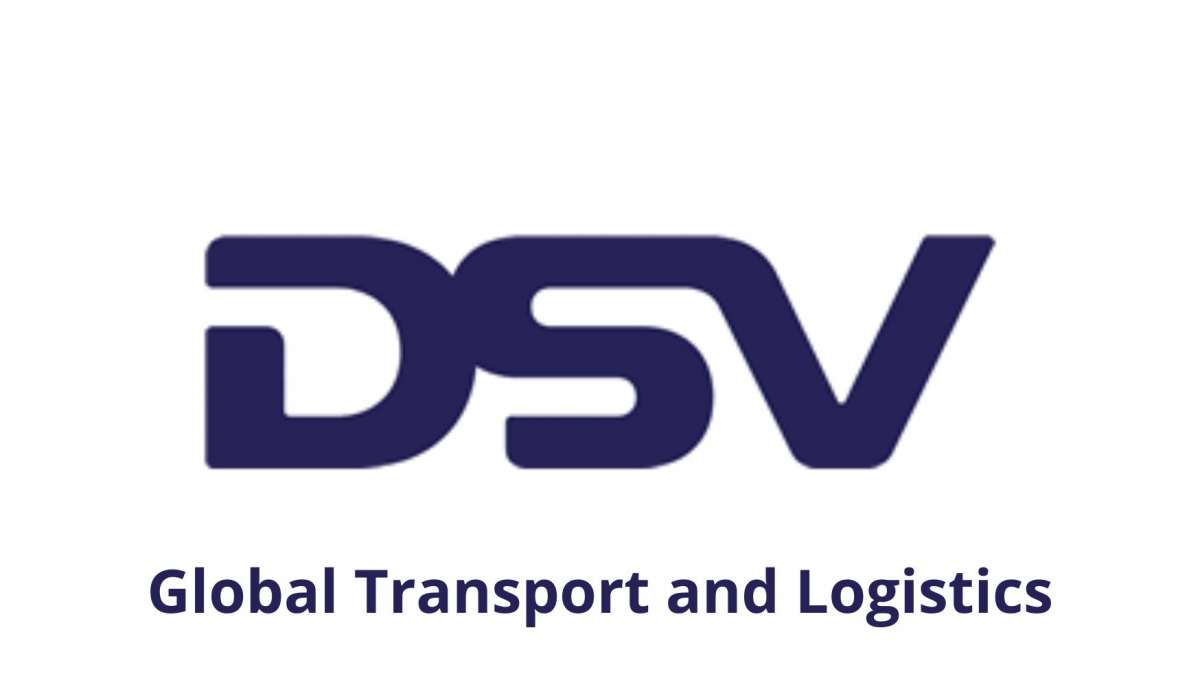 d-s-v-logo