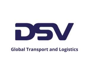 d-s-v-logo